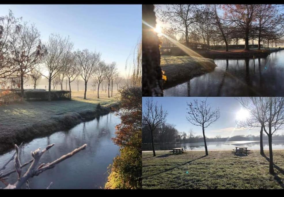 L'Endroit : Studio De Jardin Adapte Pmr 40M2 Aigrefeuille-dʼAunis Exteriör bild